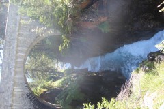 IMG_8751