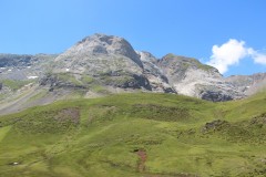 IMG_8766