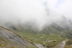 IMG_8789