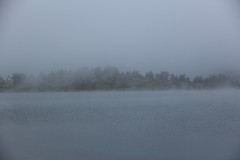 IMG_8809