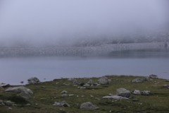 IMG_8812
