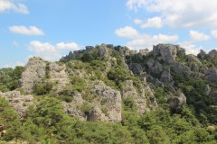 IMG_8822