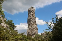 IMG_8854