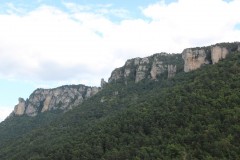 IMG_8858