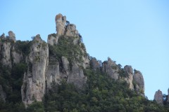 IMG_8859