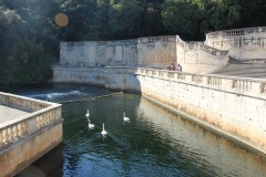 IMG_8908