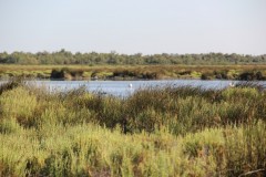 IMG_8930