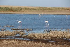 IMG_8939