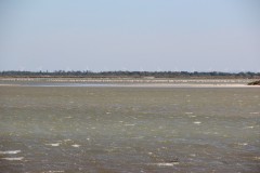 IMG_8951