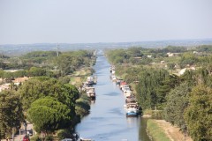 IMG_9019