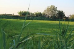 IMG_9033