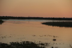 IMG_9049