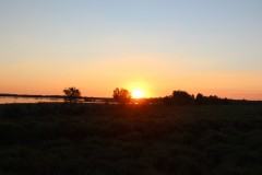 IMG_9053