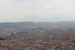 IMG_9155