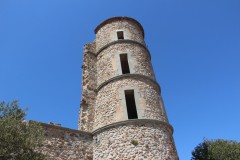 IMG_9247