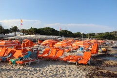 IMG_9272