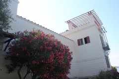 IMG_9530