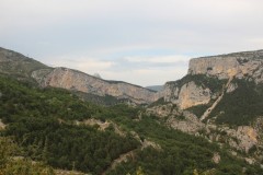 IMG_9572