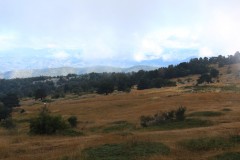 IMG_9612