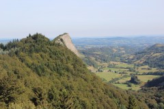 IMG_9771