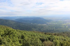 IMG_0007