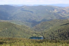 IMG_0015