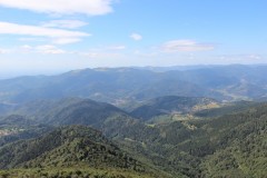 IMG_0020