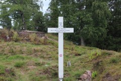 IMG_0031