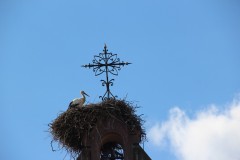 IMG_0046