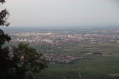 IMG_0075