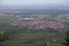 IMG_0076