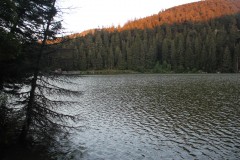 IMG_0078