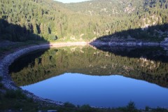 IMG_0081