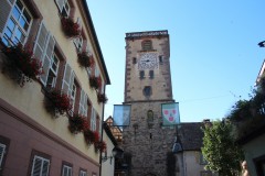 IMG_0088