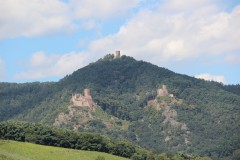 IMG_0123