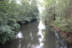 IMG_0151