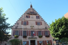 IMG_0153