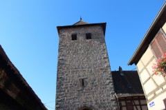 IMG_0156