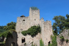 IMG_0162