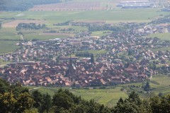 IMG_0164