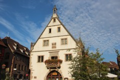 IMG_0193
