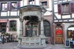 IMG_0198