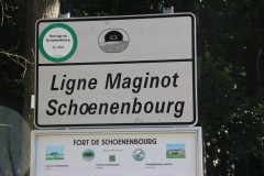 IMG_0202