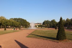 IMG_0236