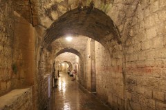 IMG_0287