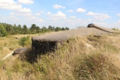 IMG_0288