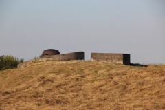 IMG_0295