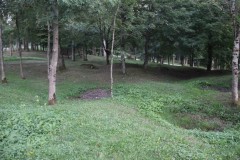 IMG_0318