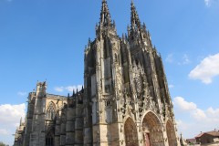 IMG_0343