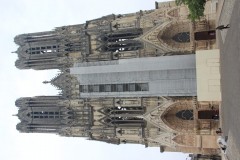 IMG_0391